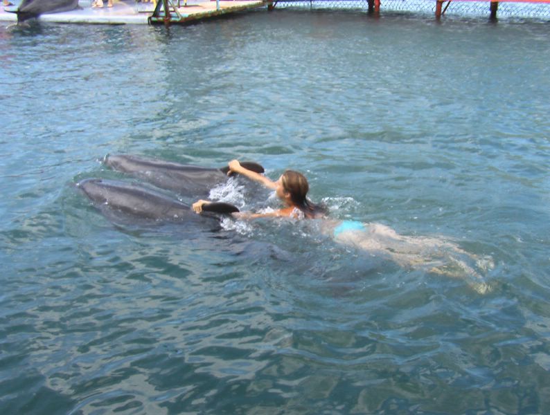 Дельфины мчат нашу маму по морской глади. Живые, между прочим, делфины!